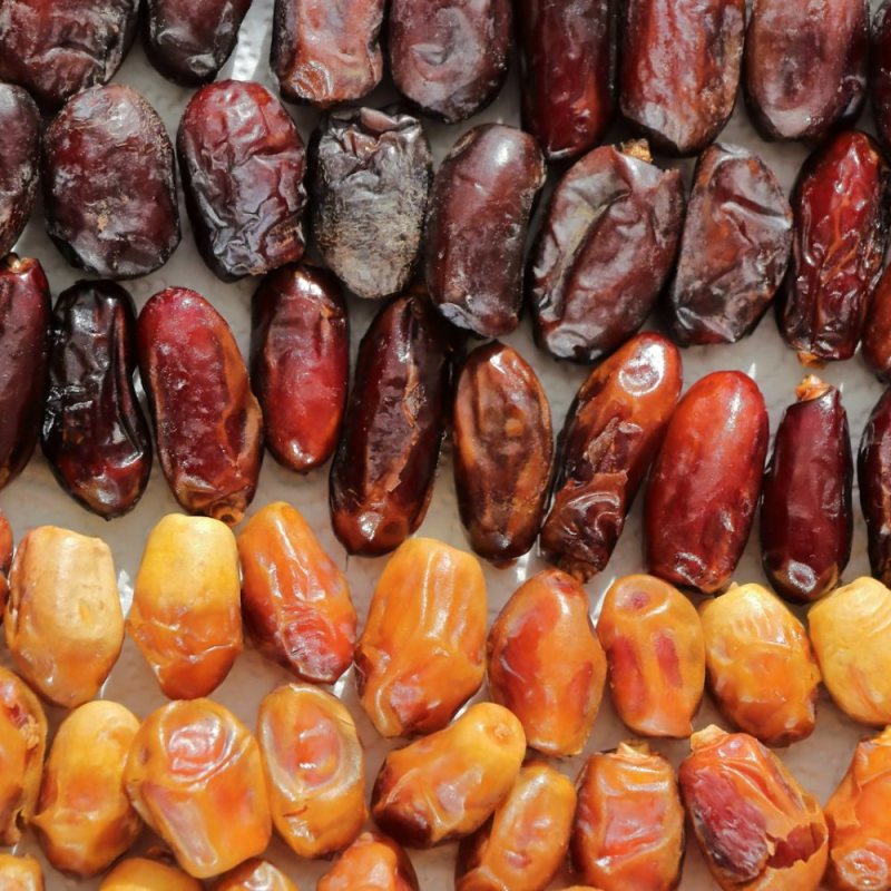 Medjool Dates